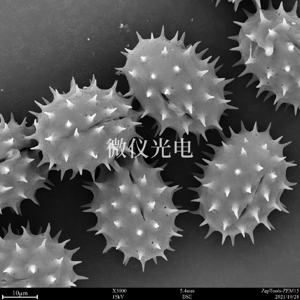 sem掃描電鏡的原理、組成、基本參數(shù)和應(yīng)用的介紹